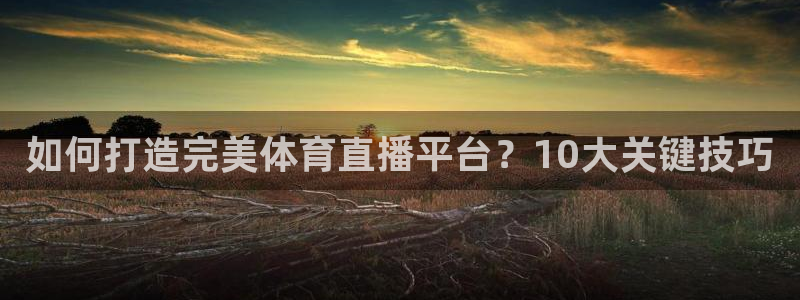 如何打造完美体育直播平台？10大关键技巧