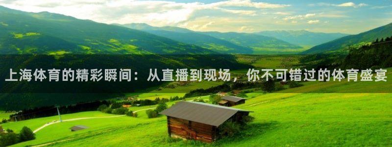上海体育的精彩瞬间：从直播到现场，你不可错过的体育盛宴