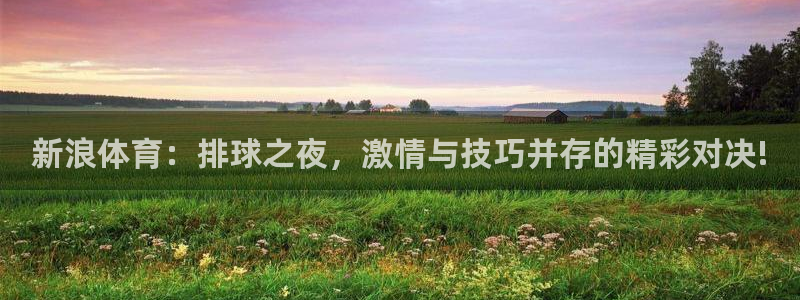 新浪体育：排球之夜，激情与技巧并存的精彩对决!
