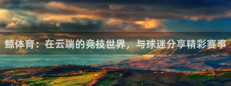 鲸体育：在云端的竞技世界，与球迷分享精彩赛事